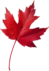 canada-icon2.png